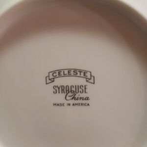 Celeste Syracuse China Plate 31 Pc Set